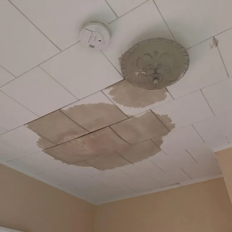 Ceiling Water Damage Repair in El Ojo, PR