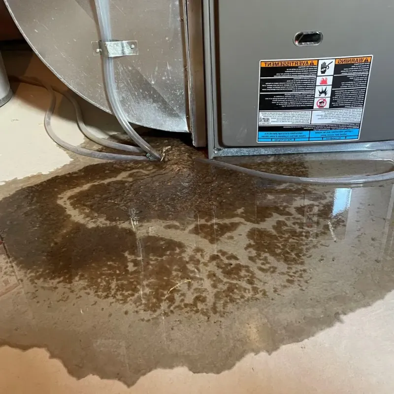 Pipe Burst and Leak Restoration in El Ojo, PR