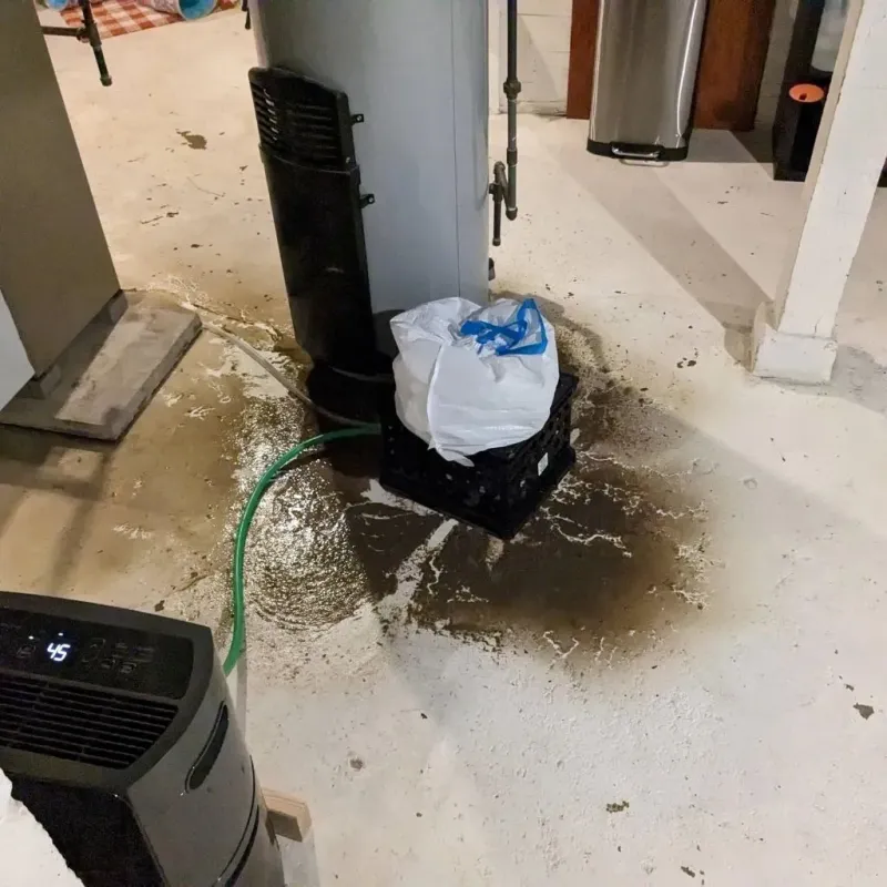 Sewage Backup Cleanup Service in El Ojo, PR